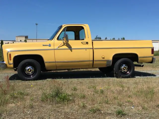 1977 Chevrolet C-10 bonanza