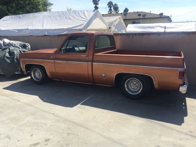 1977 Chevrolet C/K Pickup 1500 Scottsdale