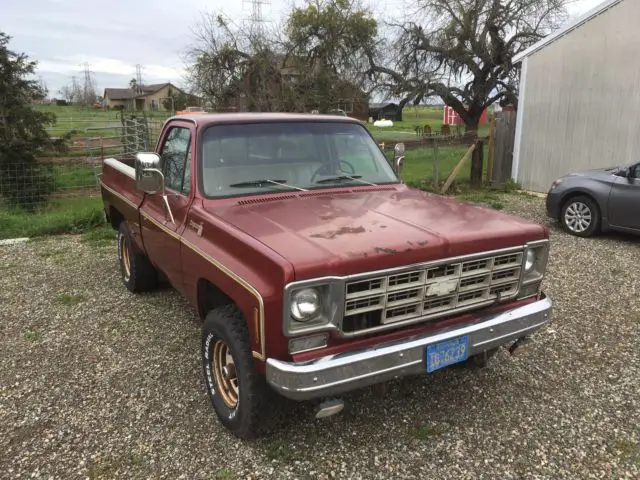 1977 Chevrolet C/K Pickup 1500 Cheyenne