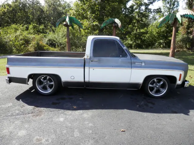 1977 Chevrolet Other Pickups