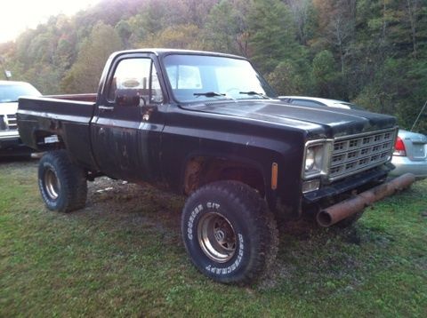 1977 Chevrolet Other Pickups