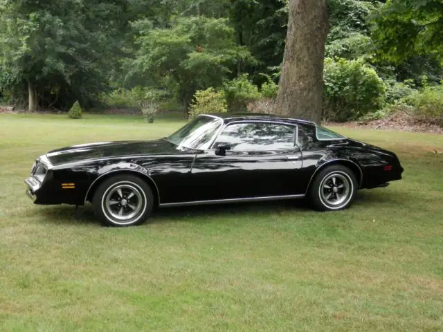 1977 Pontiac Firebird 2 Door Coupe