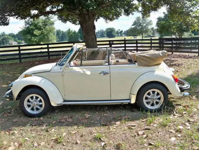 1977 Volkswagen Beetle - Classic