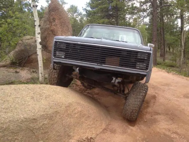 1977 Chevrolet C/K Pickup 1500 sliverado