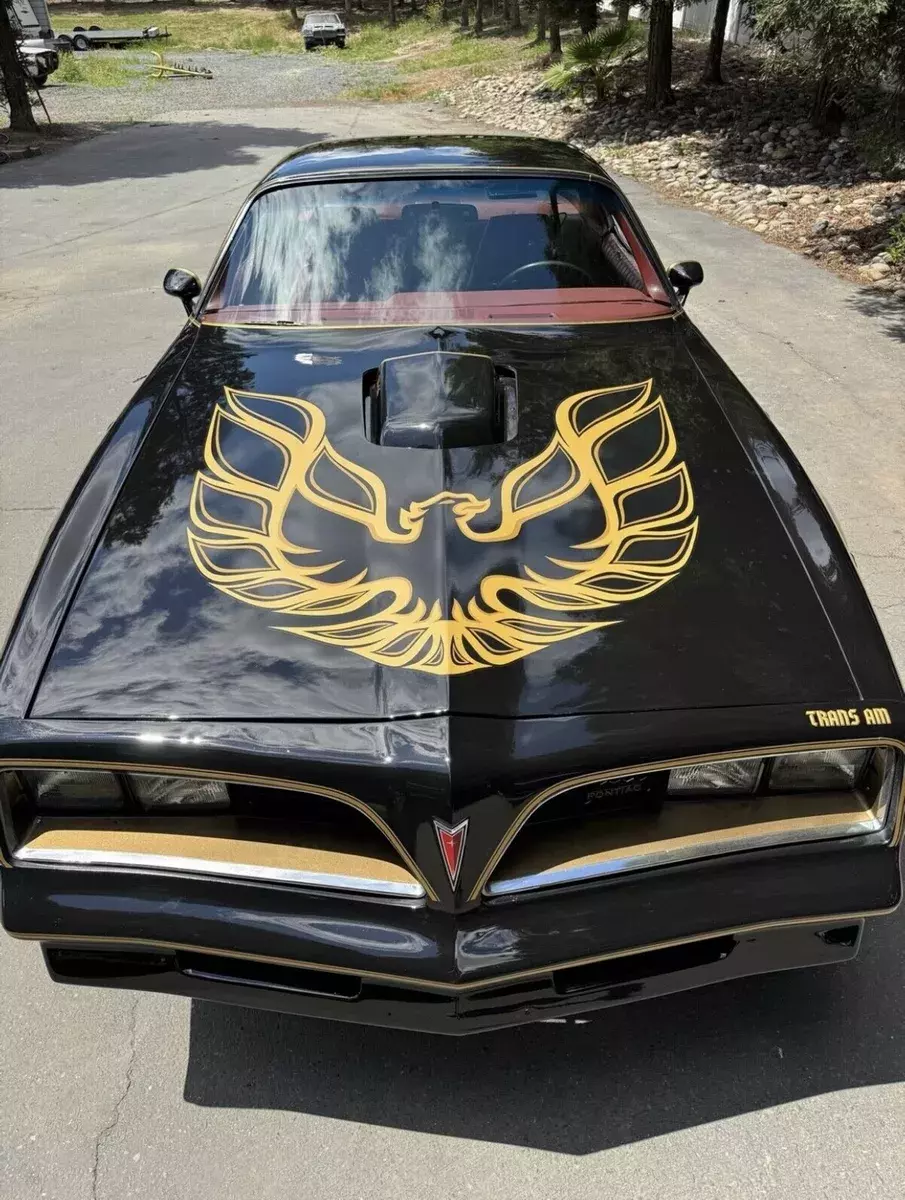 1977 Pontiac Firebird