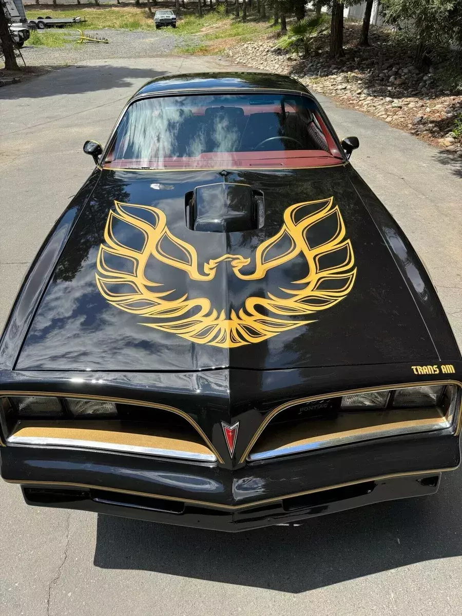 1977 Pontiac Firebird Trans Am (FREE SHIPPING)