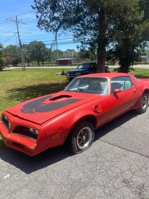 1977 Pontiac Firebird trans am