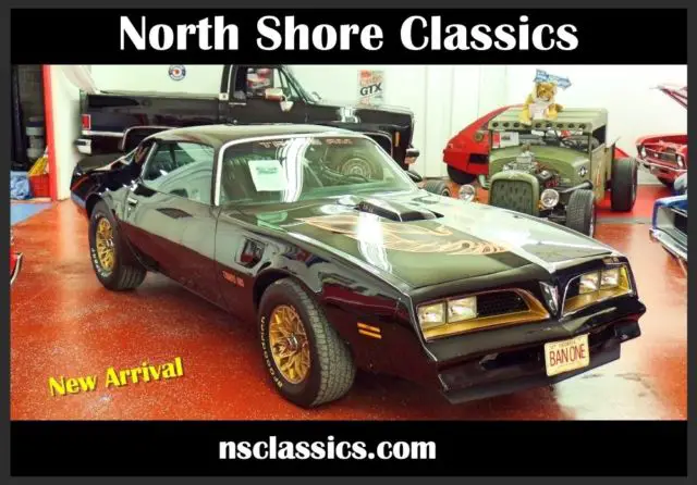 1977 Pontiac Firebird Firebird with Bandit Look-Affordable Classic-NEW L