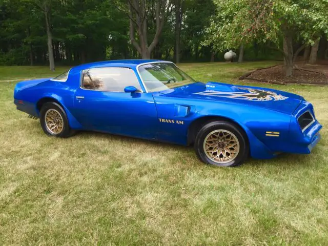 1977 Pontiac Firebird Trans Am 6 6 For Sale