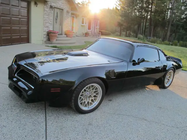 1977 Pontiac Firebird Trans Am Coupe 6.6L - Mean Steets Posture Gas ...