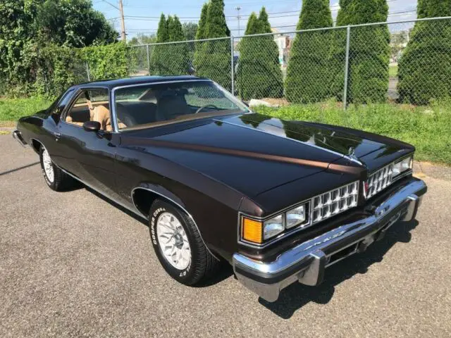 1977 Pontiac Other --