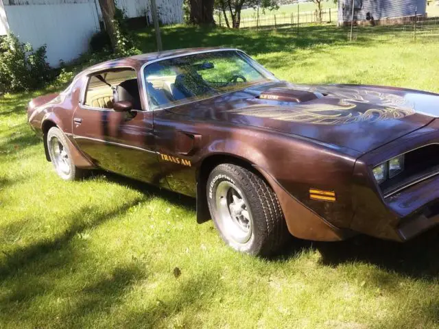 1977 Pontiac Trans Am 6.6 Liter V8