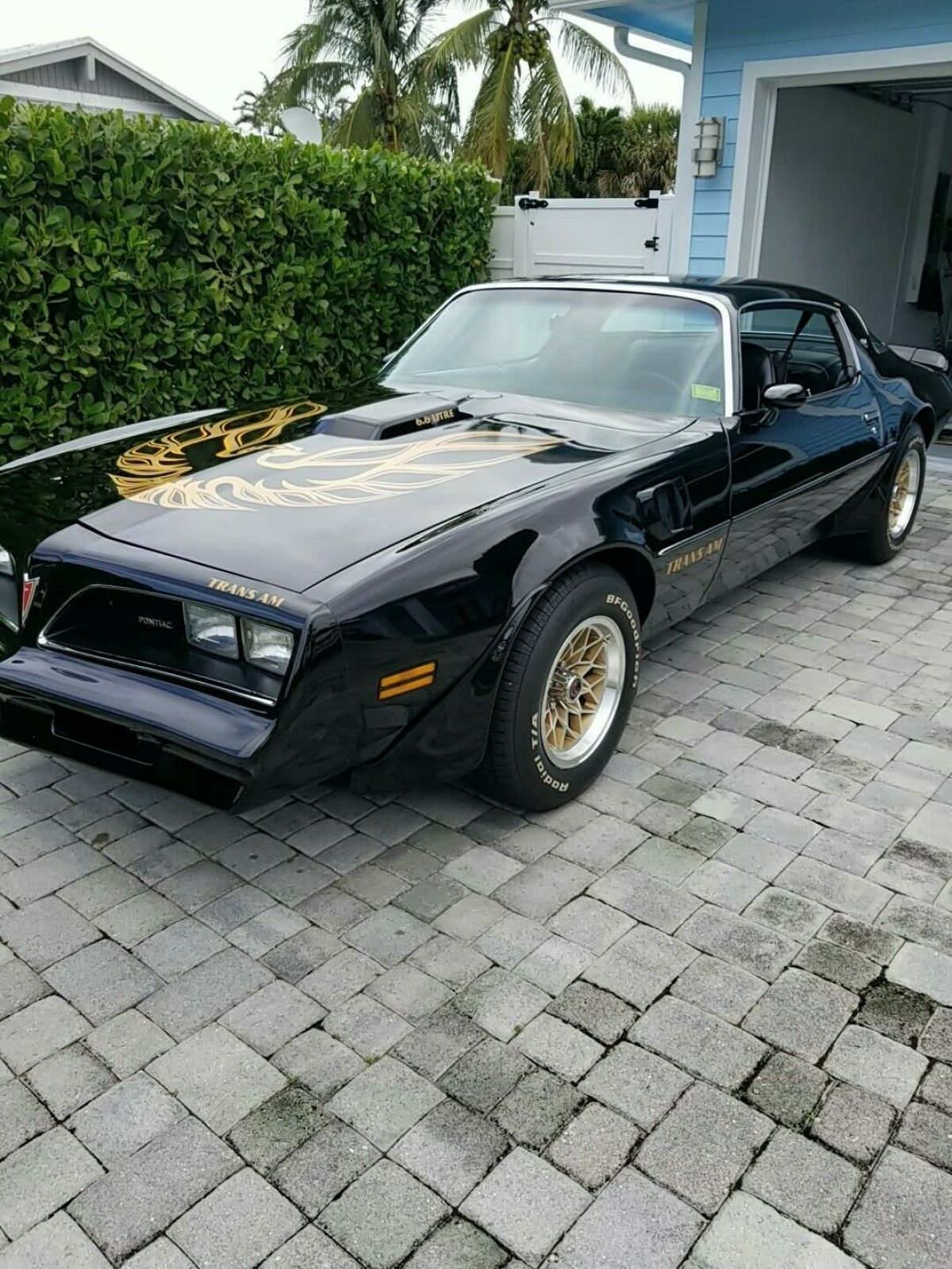 1977 Pontiac Trans Am Firebird