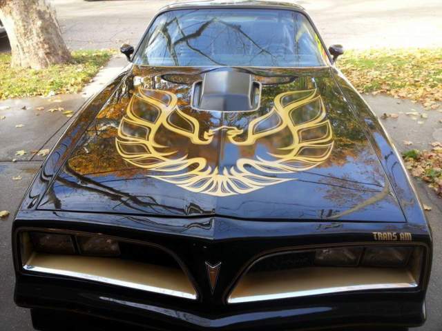 1977 Pontiac Trans Am BANDIT SE