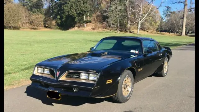 1977 Pontiac Trans Am Trans am