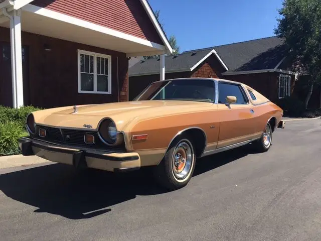 1977 AMC Other