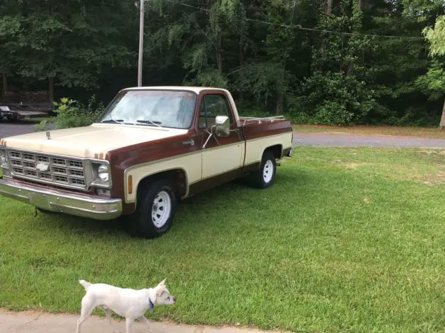 1977 Chevrolet C-10