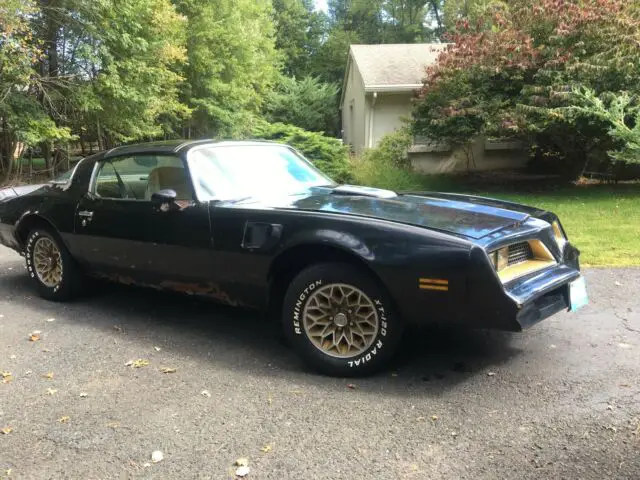 1977 Pontiac Trans Am 2 door T-Top