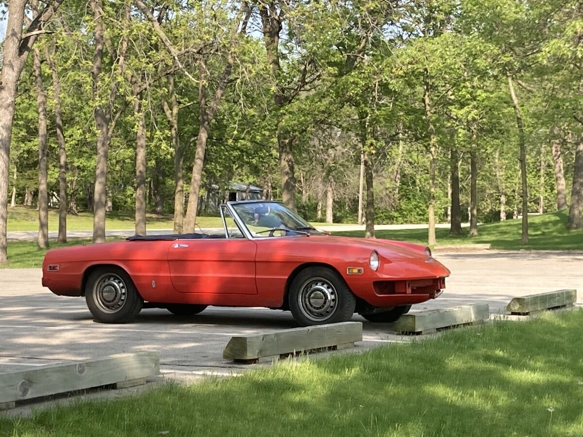 1977 Alfa Romeo Spider