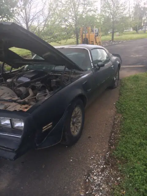 1977 Pontiac Trans Am WS4