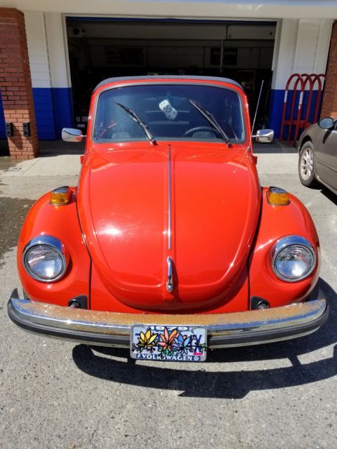 1977 Volkswagen Beetle - Classic