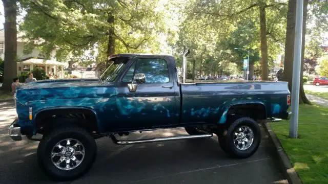 1978 Chevrolet Other Pickups CUSTOM