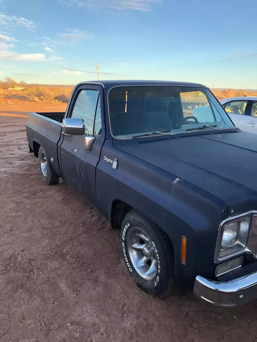 1978 Chevrolet C-10