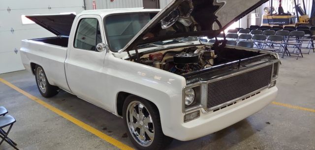 1978 Chevrolet Other Pickups Custom