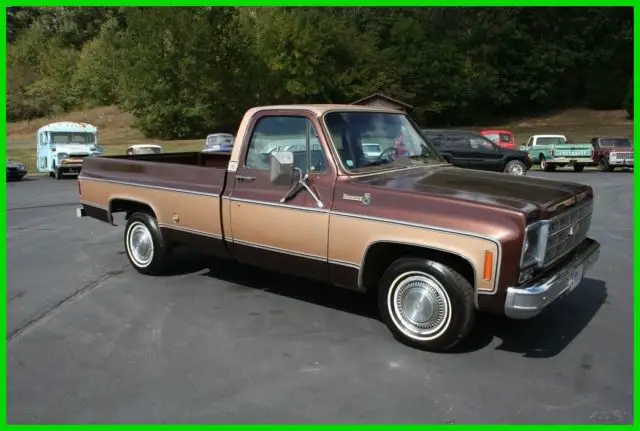 1978 Chevrolet C-10