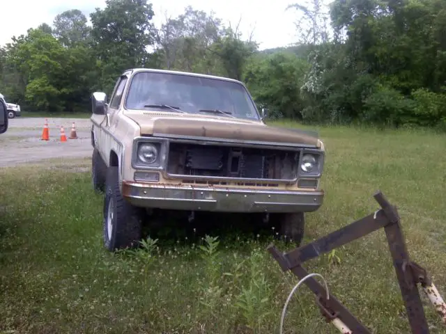 1978 Chevrolet Other Pickups