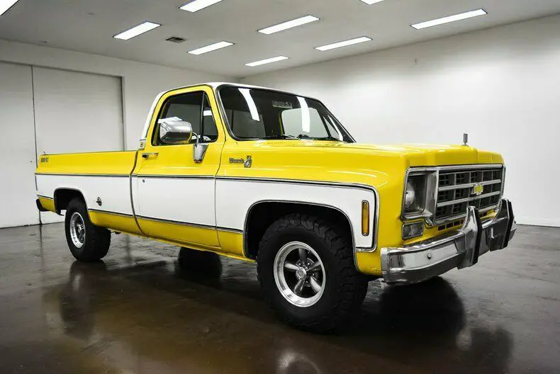 1978 Chevrolet Silverado 1500 Big 10