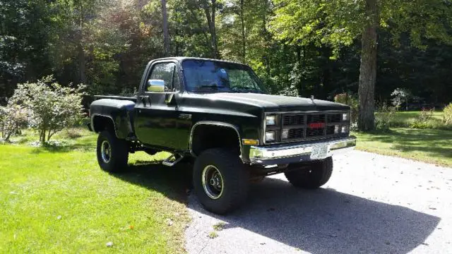 1978 Chevrolet Other Pickups