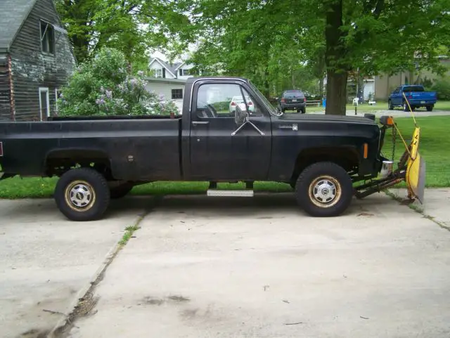 1978 Chevrolet Other Pickups