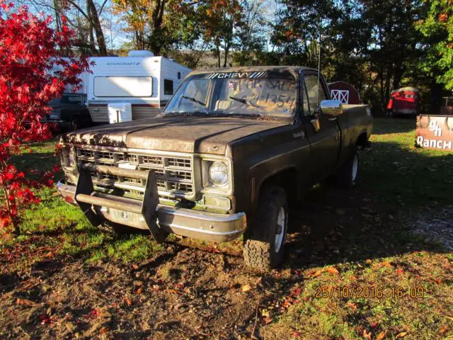 1978 Chevrolet C/K Pickup 1500