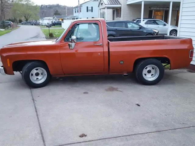 1978 Chevrolet C-10