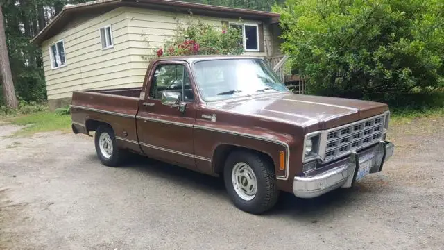 1978 Chevrolet Other Pickups