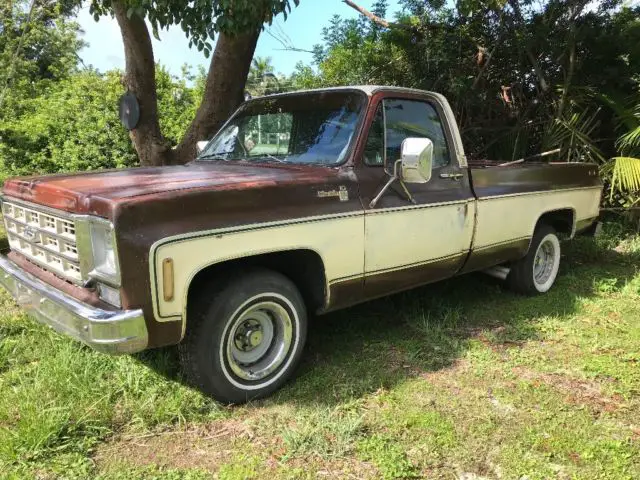 1978 Chevrolet C-10