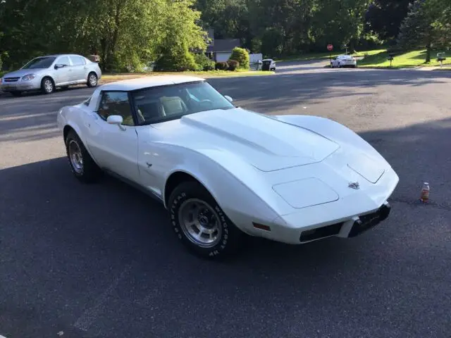 1978 Chevrolet Corvette Red pinstripe