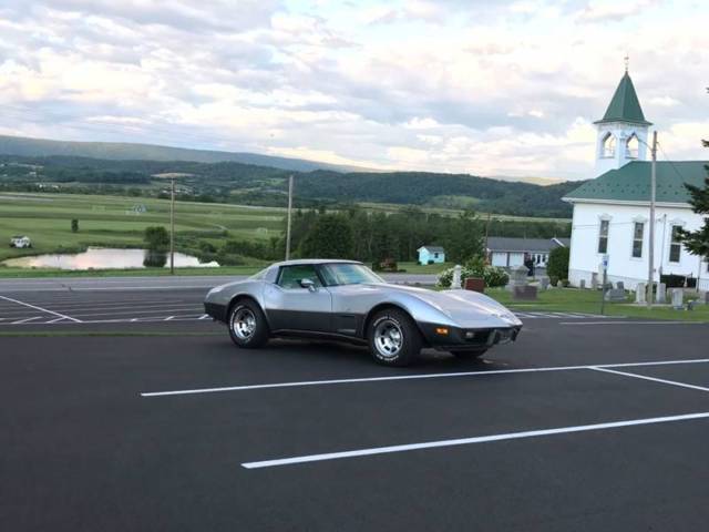 1978 Chevrolet Corvette SILVERANNIVERSARY*34KMILES*RAREL824SPD*