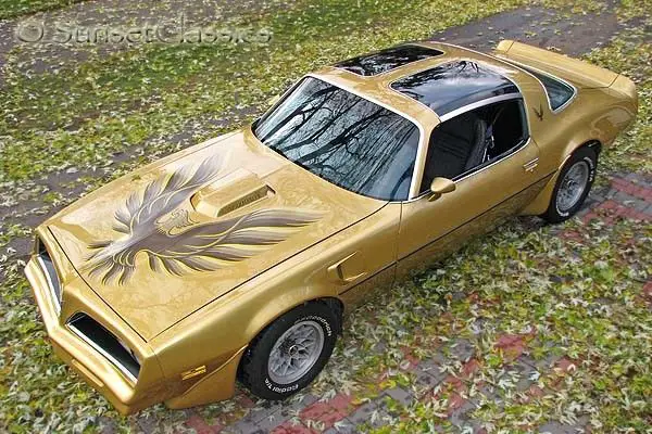 1978 Pontiac Trans Am Deluxe Trim Package