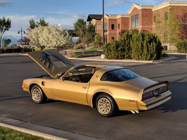 1978 Pontiac Firebird Y88 Solar Gold, Special Edition
