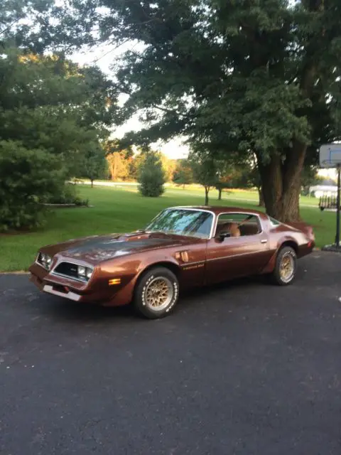 1978 Pontiac Trans Am Tan