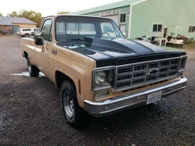 1978 Chevrolet Other Pickups