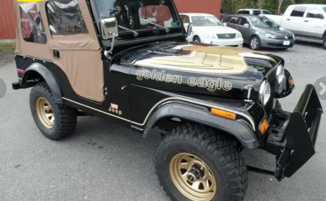 1978 Jeep CJ -GOLDEN EAGLE-SOFT TOP-FIBERGLASS BODY-304 V8- DOC