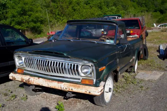 1978 Jeep Pickup J10