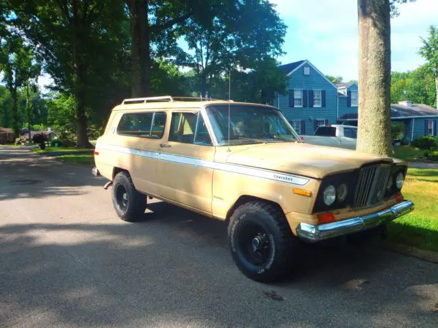 1978 Jeep Wagoneer VINYL