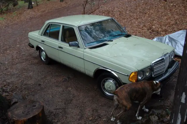 1978 Mercedes-Benz 200-Series MB Tex