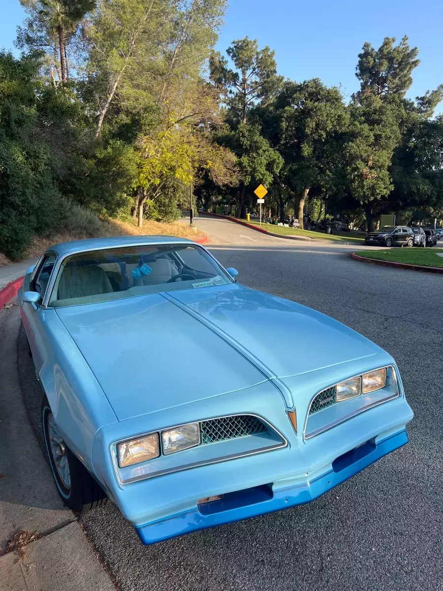 1978 Pontiac Firebird Skybird