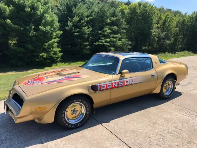 1978 Pontiac Firebird Trans am