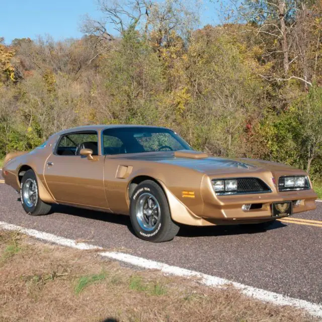 1978 Pontiac Firebird Firebird Trans Am